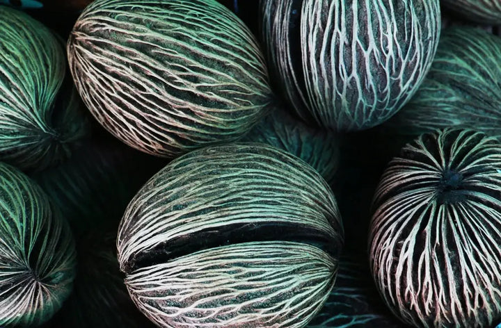 AMAZING HEALTH BENEFITS OF COCONUT OIL