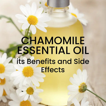 CHAMOMILE ESSENTIAL OIL – ITS BENEFITS AND SIDE EFFECTS.