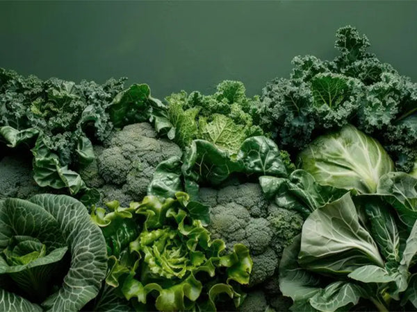 seasonal nutritions