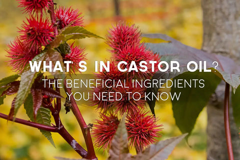 10 Castor Oil Uses That Reveal Why It’S A Modern