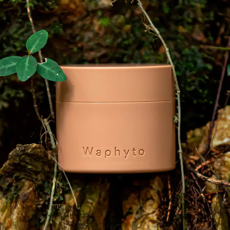 Waphyto Regena Enriched Cream 50gr