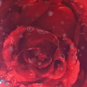 Odacite Rose & Neroli Hydra-Vitalizing Treatment Mist 50ml