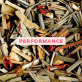 15th Degree Performance Tea  (24 tea pyramids)